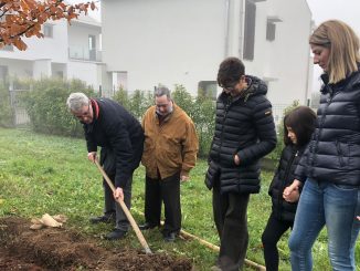 Varese festa albero