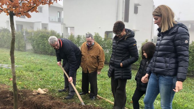 Varese festa albero