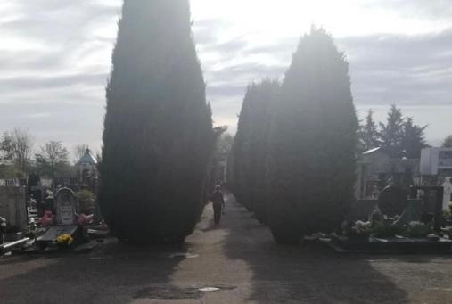 sangiorgiosulegnano cimitero lavori decorazioni