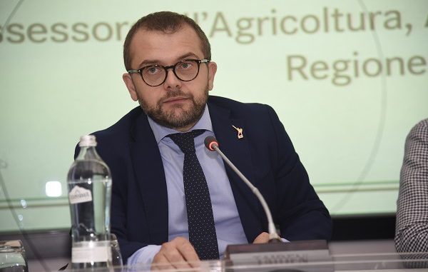 consiglio regionale rolfi