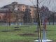legnano fondazione ticinoolona bandi