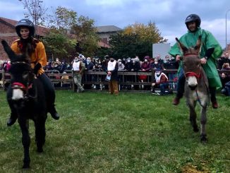 Gallarate palio 2021