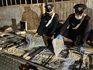 gazzada sequestro marijuana