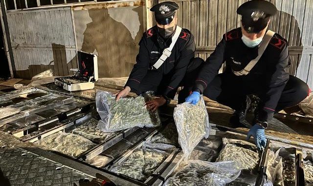 gazzada sequestro marijuana