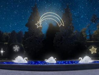 luci Natale Varese