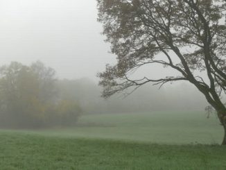 maltempo sud miglioramento nebbia 03