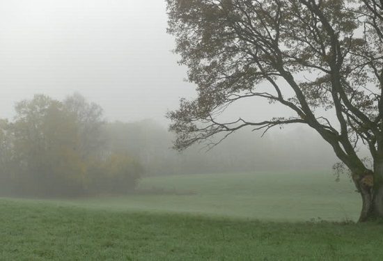 maltempo sud miglioramento nebbia 03