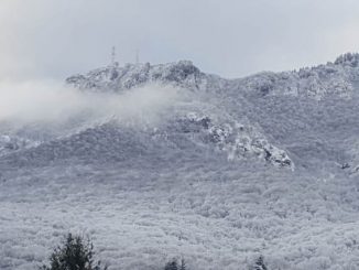 neve campo fiori brinzio