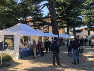 olgiateolona mercato agricolo alimentari
