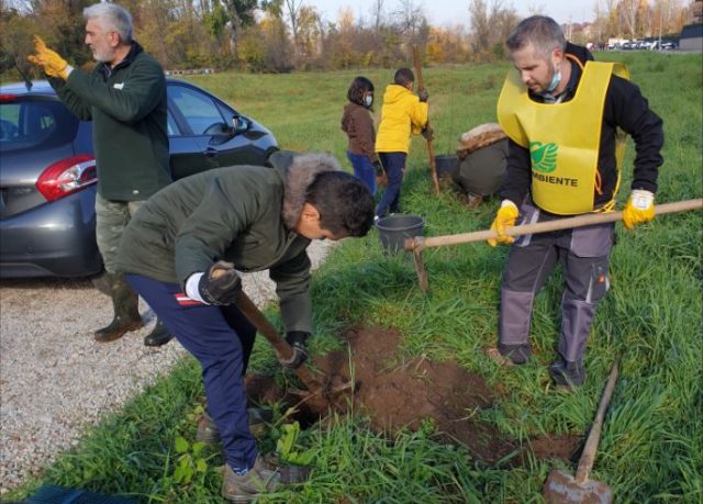 cassano piante giornata albero