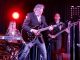 somma bobby solo elvis 01