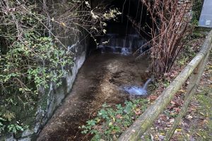 valganna cadavere grotte