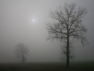 sole temperatura pianura nebbia