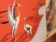 varese castello masnago mostra giappone