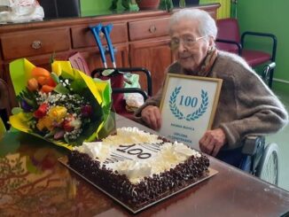 somma bianca castagna 100 anni girasole