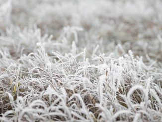 lombardia sereno gelate notturne