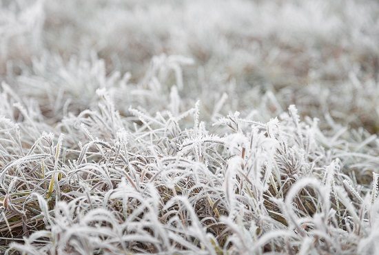 lombardia sereno gelate notturne