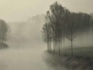 nebbia gelate bel tempo