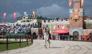 legnano palio fondazione presidente