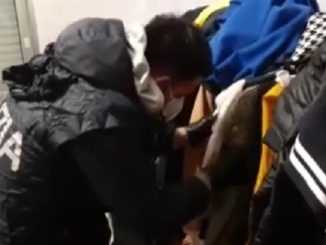 milano procura aggressioni