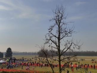 canegrate corsacampestre crosscountry roccolorun