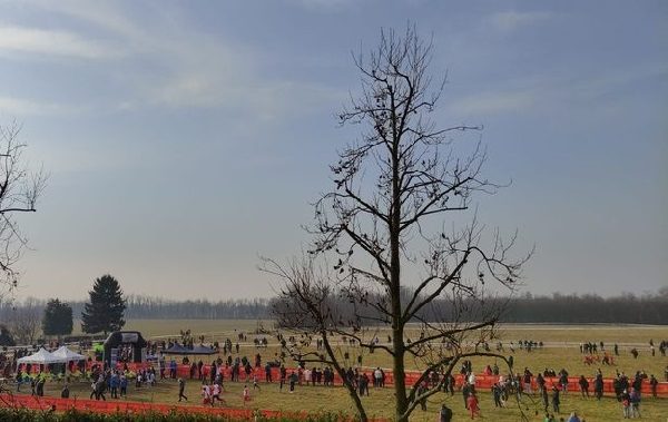 canegrate corsacampestre crosscountry roccolorun