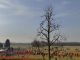 canegrate corsacampestre crosscountry roccolorun