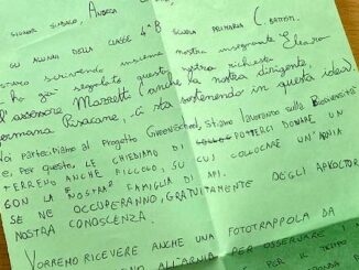 Gallarate api cultura a scuola