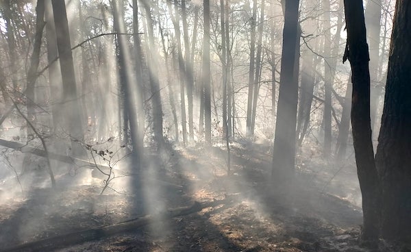 vergiate incendio bosco sesona 