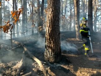 vergiate incendio bosco sesona