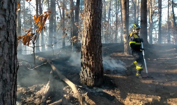 vergiate incendio bosco sesona