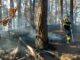 vergiate incendio bosco sesona