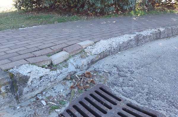 Cardano via carreggia tigli