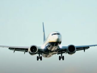 malpensa bird strike ryanair
