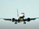 malpensa bird strike ryanair