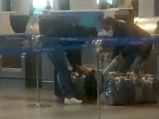 Malpensa avvolgibagagli abusivi