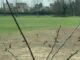 conigli animalisti parco altomilanese