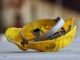 gallarate morti sul lavoro
