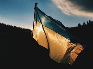 sesto calende manifestazione guerra ucraina