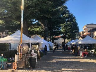 olgiateolona mercato contadino terra&mani