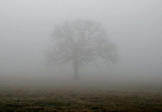 nebbia cielo temperatura media