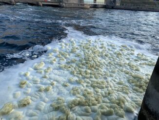 turbigo schiume naviglio arpa