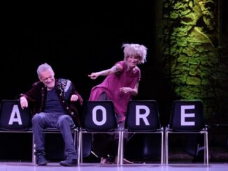tirinnanzi sogno shakespeare ferrini 01