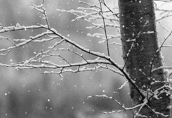 varese perturbazione piogge neve