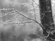varese perturbazione piogge neve