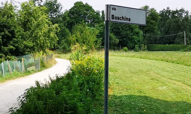Gallarate boschina crenna buche