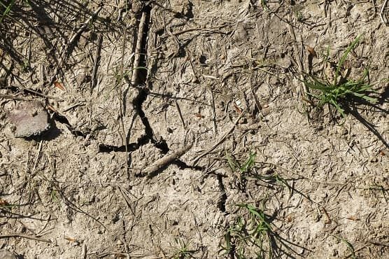 allarme coldiretti acqua cibo