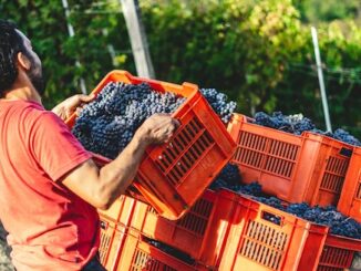 varese coldiretti agricoltura lombardia