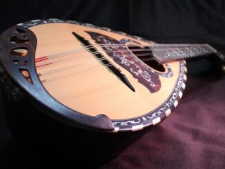 busto concerti mandolino chitarra