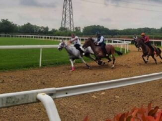 legnano palio corse addestramento